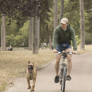 promener son chien à vélo